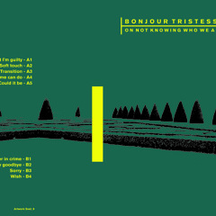 A3 - Bonjour Tristesse - Transition