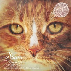 Ramon Tapia - Pili Pili (Original Mix) [Suara]