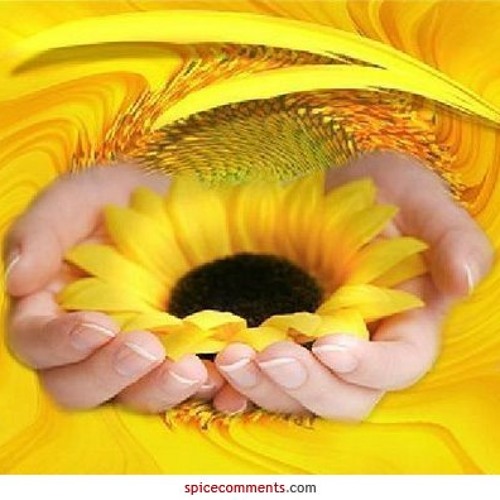 ထား(ဟဲေလး)