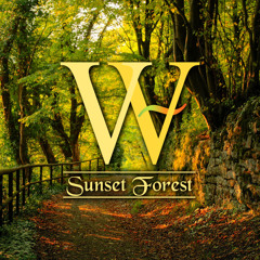 Sunset Forest