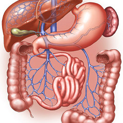 Blood Pus & Guts (OLD TUNE 2006)