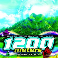 "LOCO PONE" IN THE MIX ... " (1200m) ELECTRONIC CULTURE MUSIC FESTIVAL " 2-5 AUGUST ...