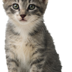 Ca$hmere Feat Mariama Turner -H.8.T.R.S  KodakMoment Mixtape.com