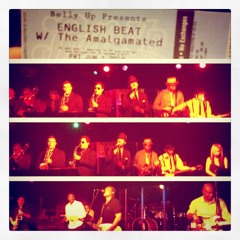 A Love I Can Feel - Reggae Tree