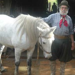 Telmo de Lima Freitas - Cavalo