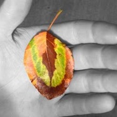 Laodicea (Proxima Machina)