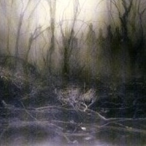 The Drapery Falls Intro Opeth Cover By Henry Duplex On