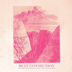Beat Connection - Lotus Blossom