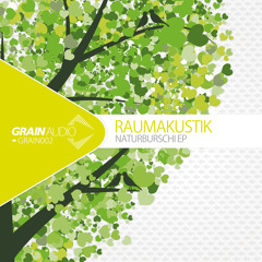 GRAIN002B1 Raumakustik - Loving The Trees (Ron Flatter Remix)