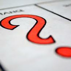 Turtle - Answers (FREE Download in Description)