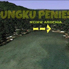 Nemin Kone Neto