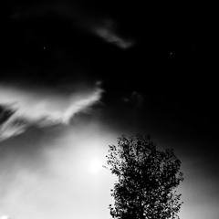 The Most Terrifying Night (Voice written & performed by Hektor Thillet)