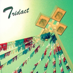 Tridact - Tridact (Internasjonal 2011)