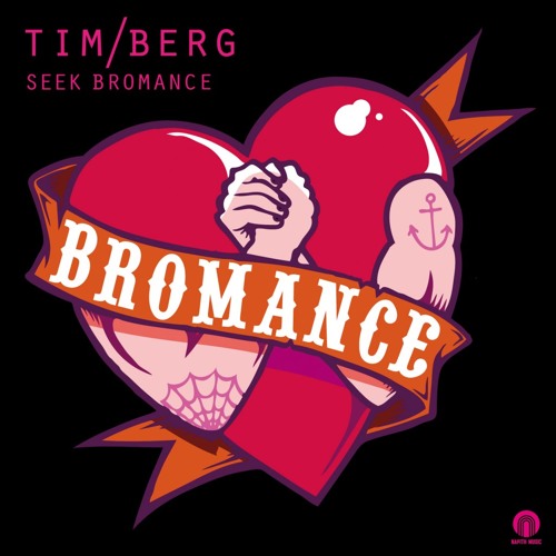 Avicii Bromance Remix - Mike Gutz