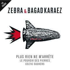 ZEBRA & BAGAD KARAEZ Plus rien ne m'arrête (radio edit)