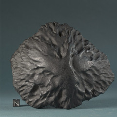 Oboskop - You've been warned (excerpt) [05/2012]