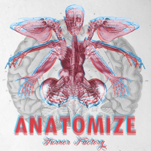 Anatomize (Original Mix) - Turner Factory