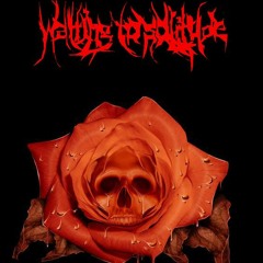 malditos momentos- waiting to solitude