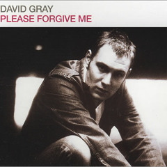 David Gray - Please Forgive Me (Cuddlefish Drum & Bass Remix)