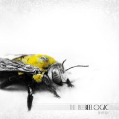 The Bee - Vulkan (DestroyER remix) [free download]