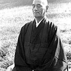 Sitting Quietly, Doing Nothing