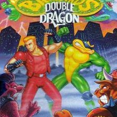 FAQ - Battletoads & Double Dragon (remix)