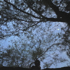 Oboskop - O.N.E. (Synth Impro) [ 2010 ]