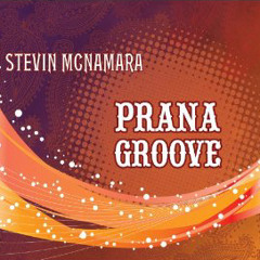 Stevin McNamara - Dance of the Midnight Moon