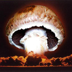 Merkwürdiges Verhalten