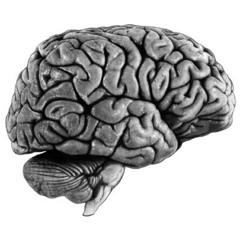 Patracks - °°VIOL CEREBRAL°°