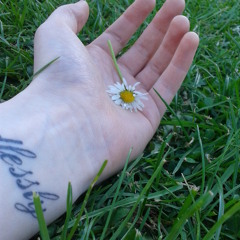 Laura M - The Reason