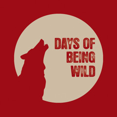 Days Of Being Wild