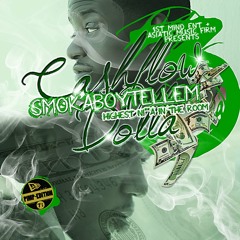 Gangsta Shit by Cashflow Dolla "Smokaboytellem 3 - The Highest Ni**a In The Room"