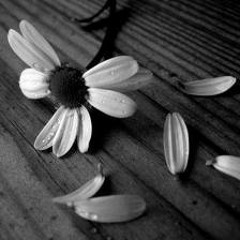 Lo que siento - Loba Ft. Boxer & Mc Garbo