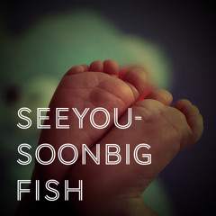 Seeyousoonbigfish