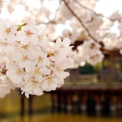 Beautiful Stranger - f(x)