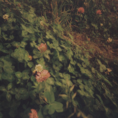 Japan, tomorrow morning