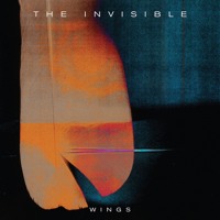 The Invisible - Wings (Floating Points Remix)