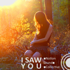 Notion Sound Collective - I saw you