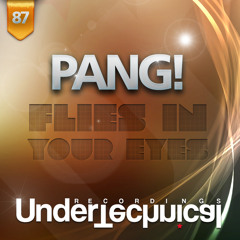 PANG! - Puzzle (Original Mix)