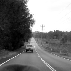 "Wondering" original- Todd Bourke