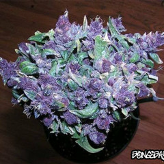 What u know about me ( Prod By EB Music)