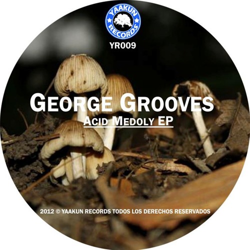 George Grooves - Acid Melody (Original Mix) [Yaakun Records]
