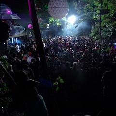 YOUR NIECE live on the Meteor Stage, Glade 15.06.12