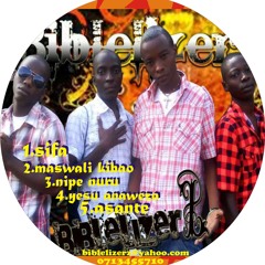 2.maswali kibao - Biblelizerz