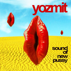 Yozmit - Sound of New Pussy (Alek Sandar's Divine Dub)