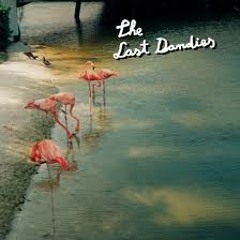 "Summer 1917" The Last Dandies. KANE REMIX