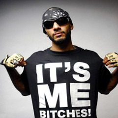 Swizz Beatz - It`s Me Bitches (BLOWSHITUP remix)