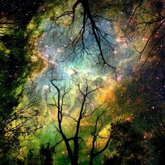 Psychodetra Atmosphere.- Shiny Night