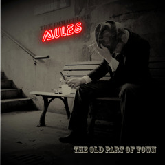 Album Songs sample track [THE IMMACULATE MULES - THE OLD PART OF TOWN] 2012